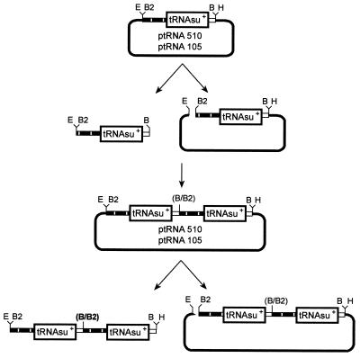 FIG. 1