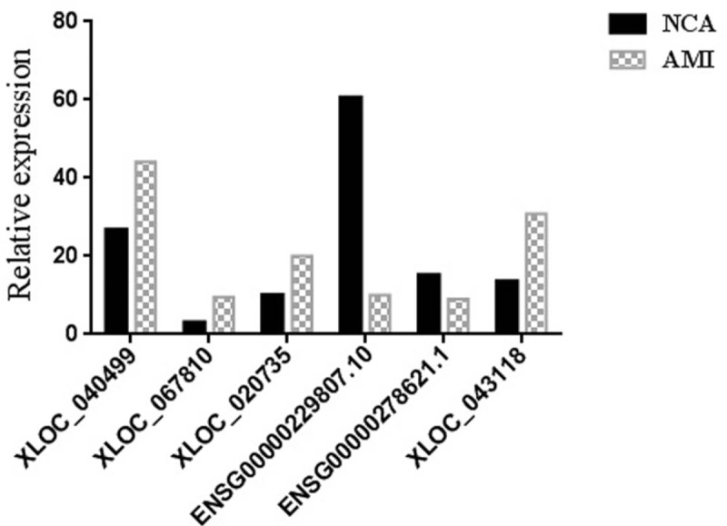 Figure 6