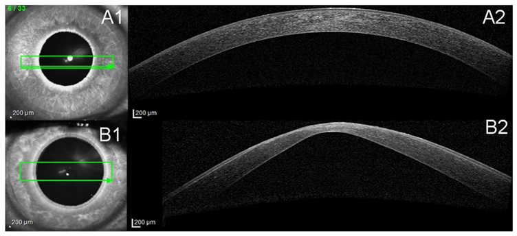 Fig. 3.