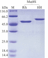 Figure 4.