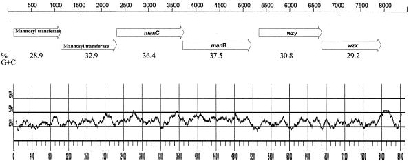 FIG. 1.