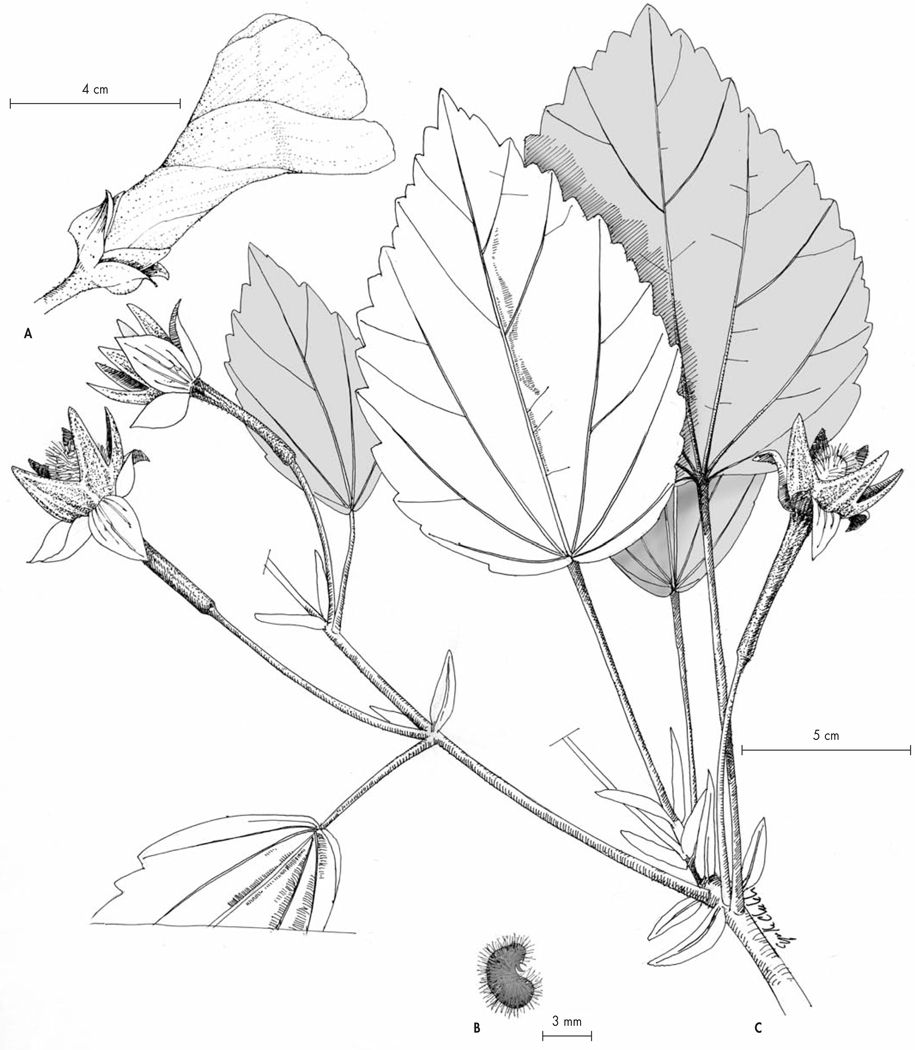 Fig. 9