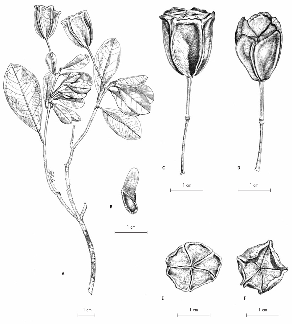 Fig. 8