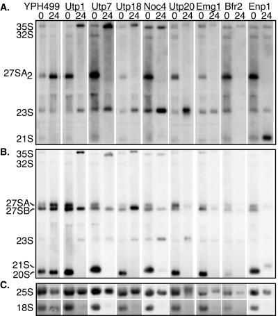 FIG. 5.