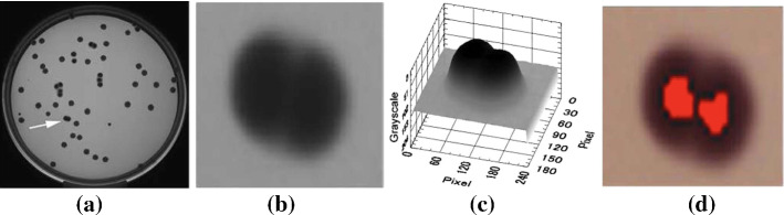 Fig. 39