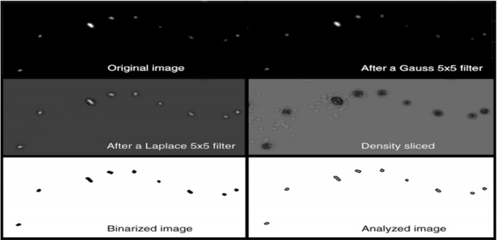 Fig. 14