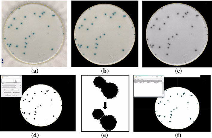 Fig. 44