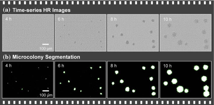 Fig. 25