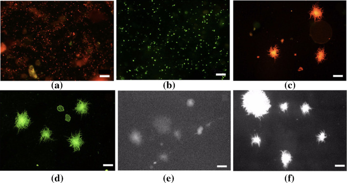 Fig. 27