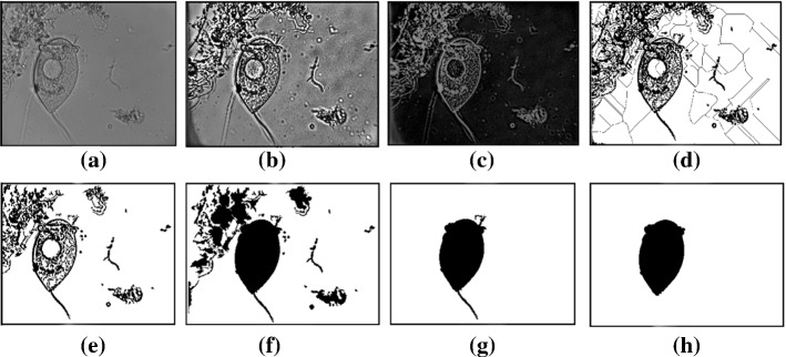 Fig. 36