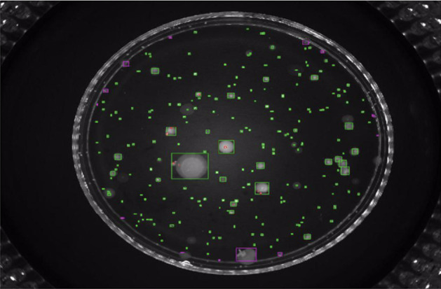 Fig. 17