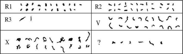 Fig. 52