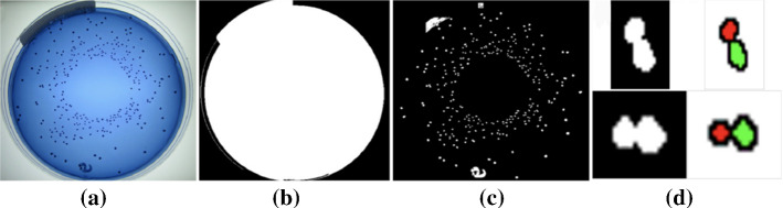 Fig. 13