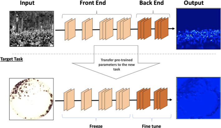 Fig. 38