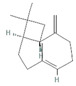 graphic file with name nutrients-16-04342-i007.jpg