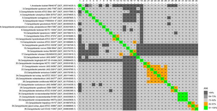 Fig. 4.