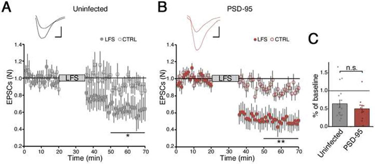 Figure 3: