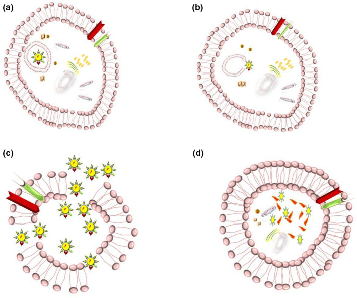 FIGURE 4