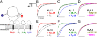 Fig. 3.