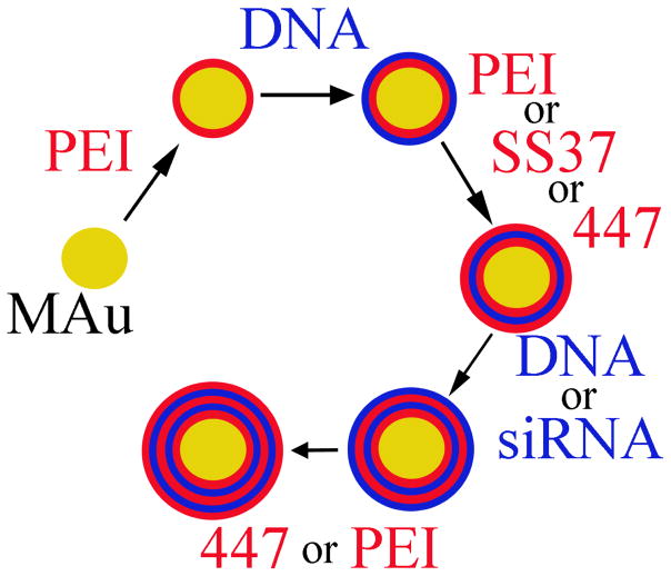 Scheme 1