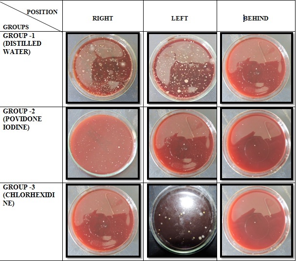 [Table/Fig-3]: