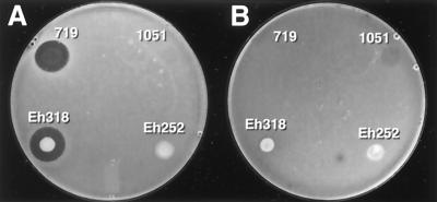 FIG. 5