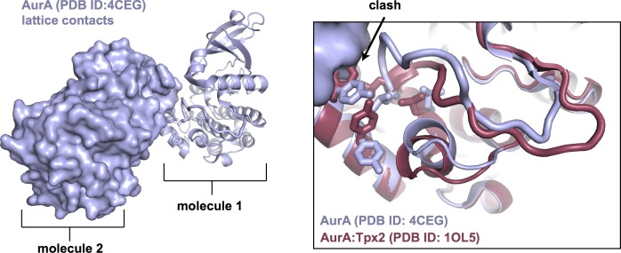 Figure 3—figure supplement 2.