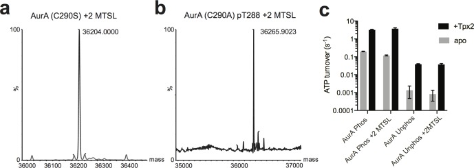 Figure 4—figure supplement 1.