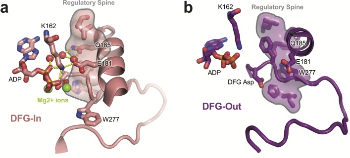 Figure 1—figure supplement 2.