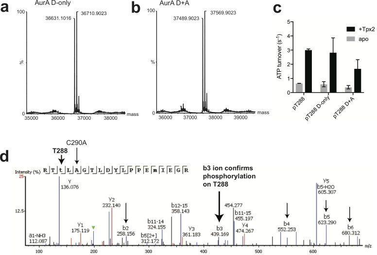 Figure 2—figure supplement 1.