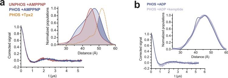 Figure 4—figure supplement 2.