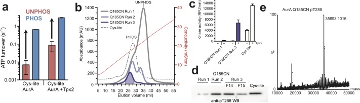 Figure 1—figure supplement 1.