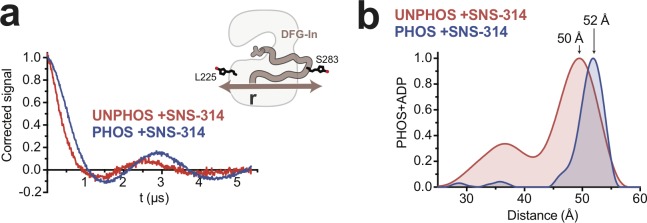 Figure 4—figure supplement 3.