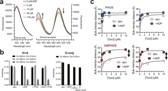 Figure 2—figure supplement 2.