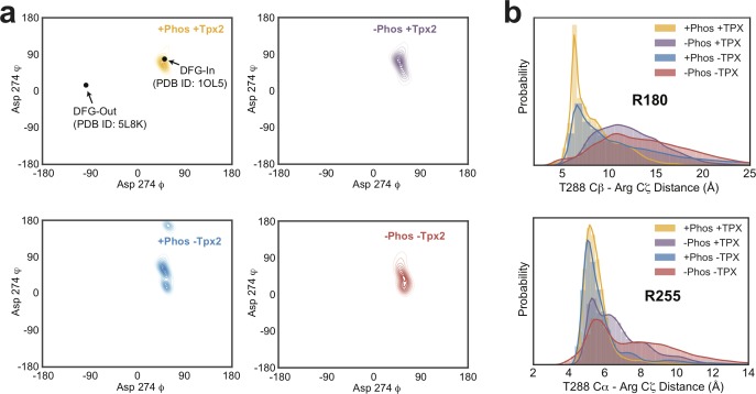 Figure 3—figure supplement 1.