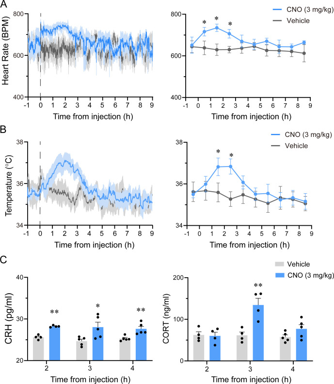 Figure 3—figure supplement 2.