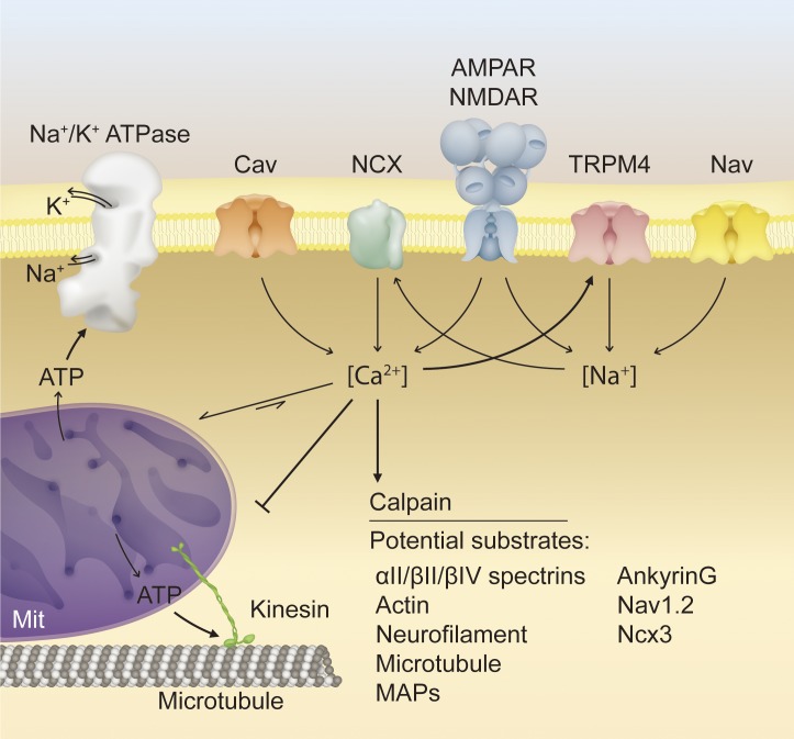 Figure 2.