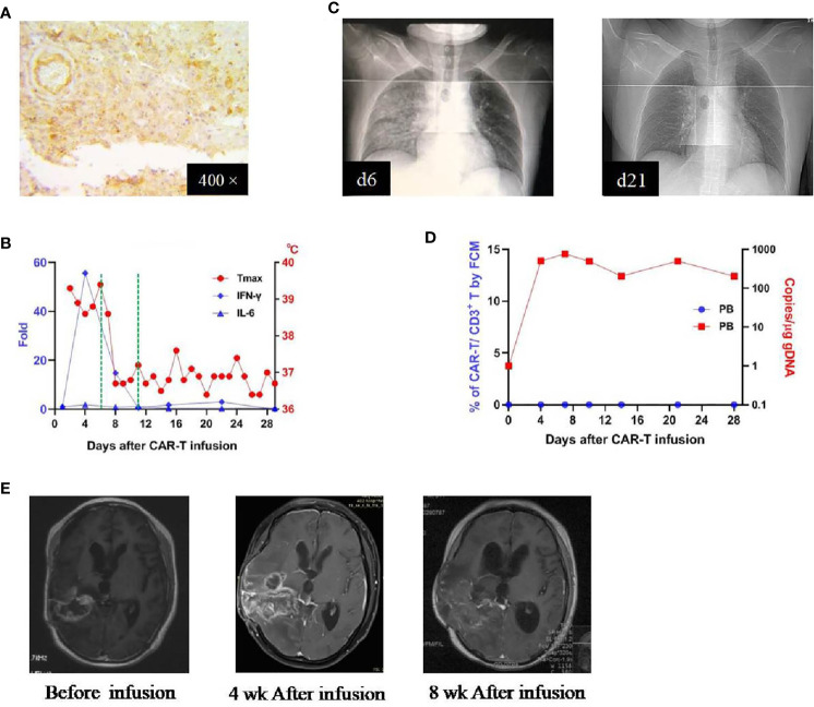 Figure 4