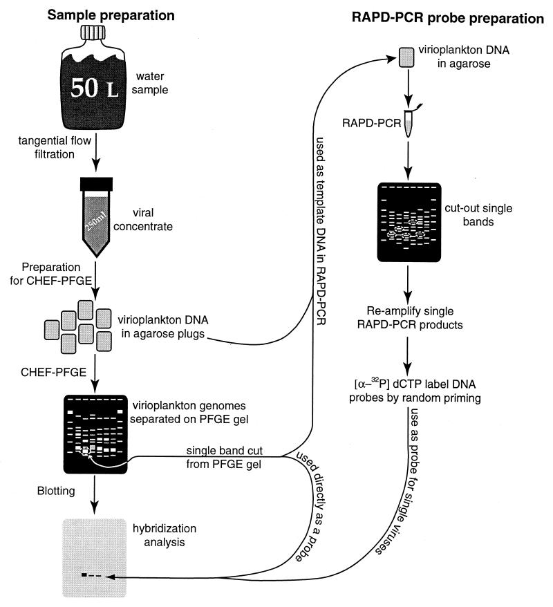 FIG. 1