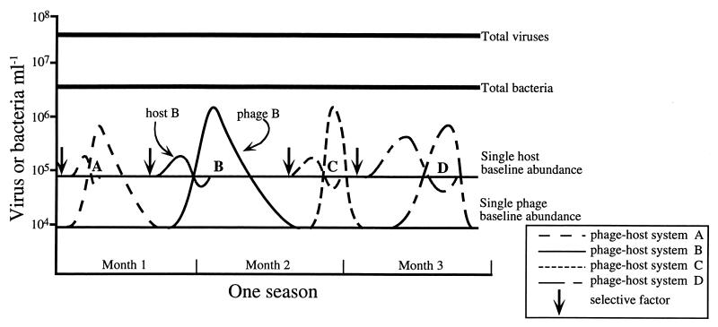 FIG. 6