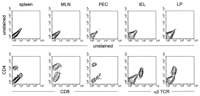 FIG. 8