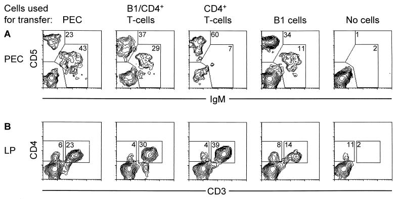 FIG. 5