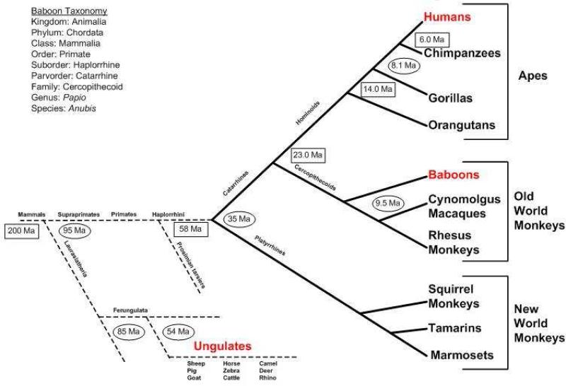 eFigure 1