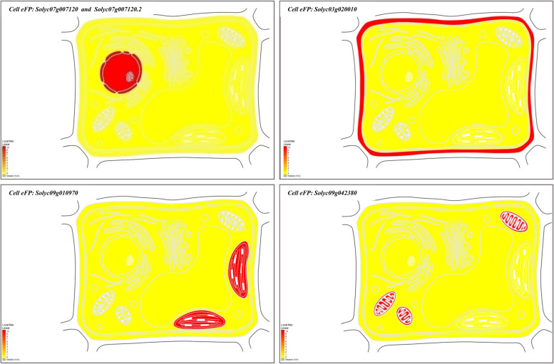 Fig. 6