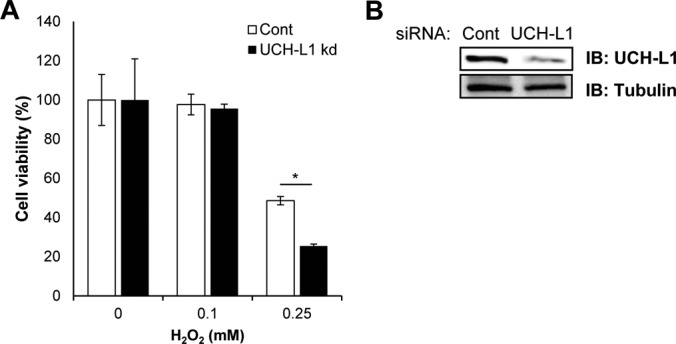 Fig. 9.