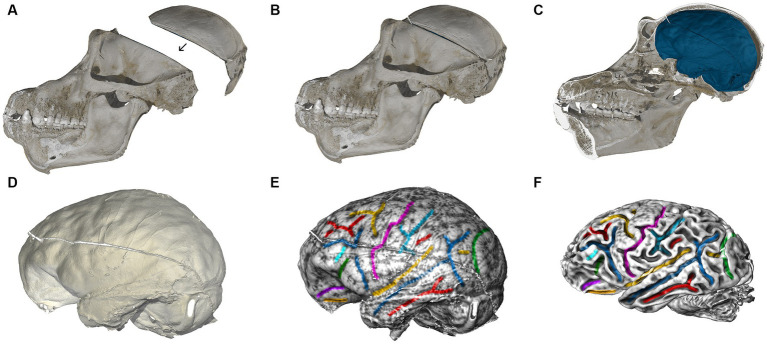 Figure 7