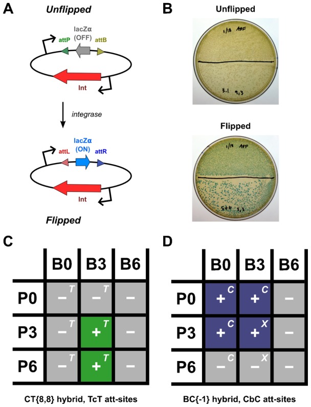 Fig. 4.