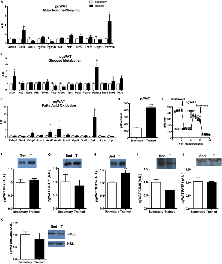 Figure 6