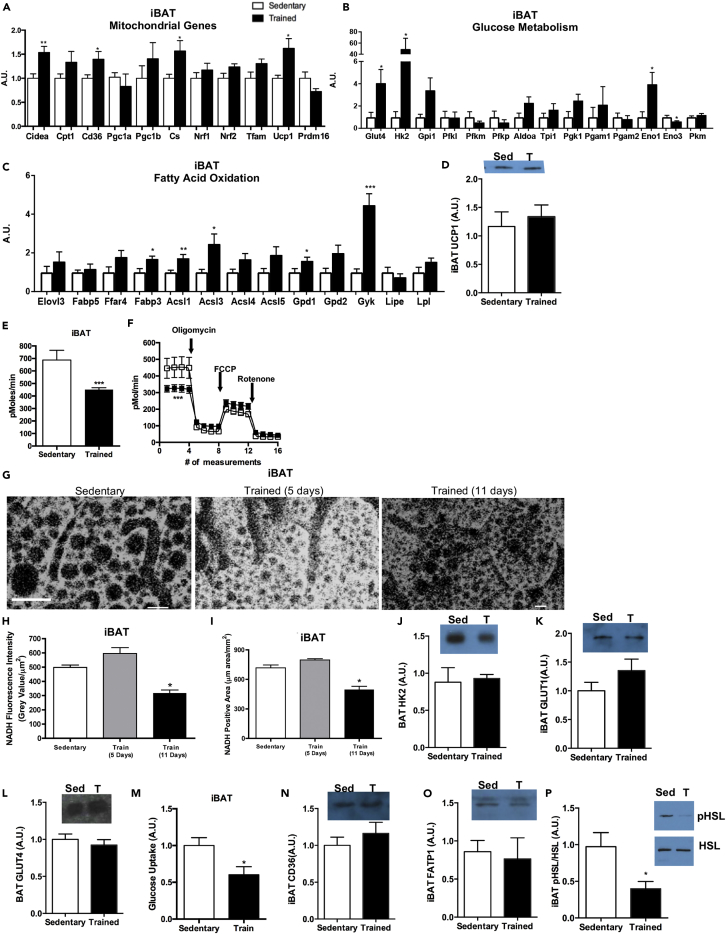 Figure 7