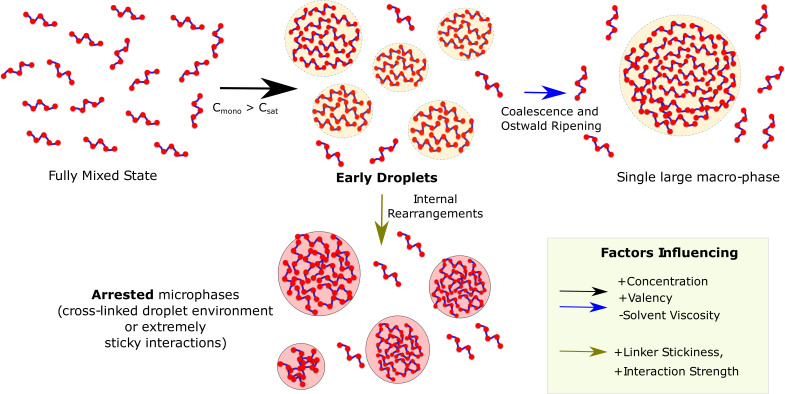 Figure 10.